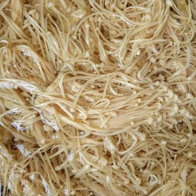 無硫金針菇干貨 優(yōu)質(zhì)食用菌的多領(lǐng)域應(yīng)用與批發(fā)優(yōu)勢(shì)