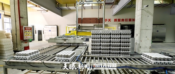 育-產-銷開啟食用菌全鏈建設 貴陽花溪區工廠化智能生產進“菌”未來