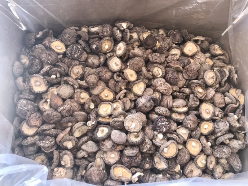 河南泌陽干香菇批發(fā)市場探析 品質(zhì)與價格的平衡點